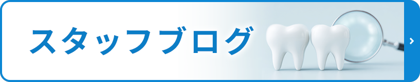 スタッフブログ